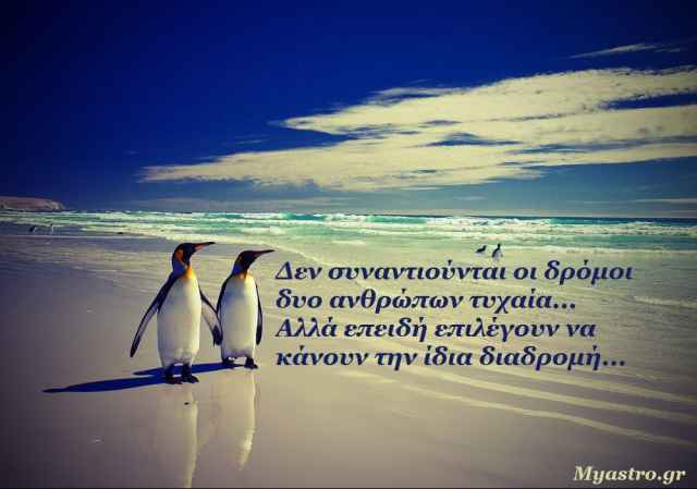 Το αστρολογικό Ταρώ της εβδομάδας, μέρα με τη μέρα, υπό την επιρροή της έκλειψης Ηλίου.