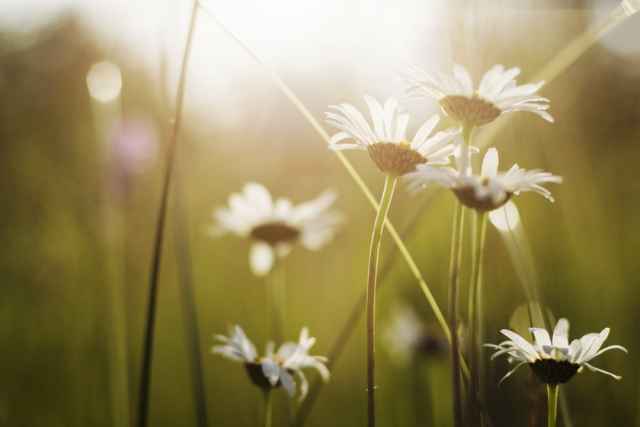 Η ερωτική συμβουλή της Δευτέρας, 27 Ιουνίου 2016.